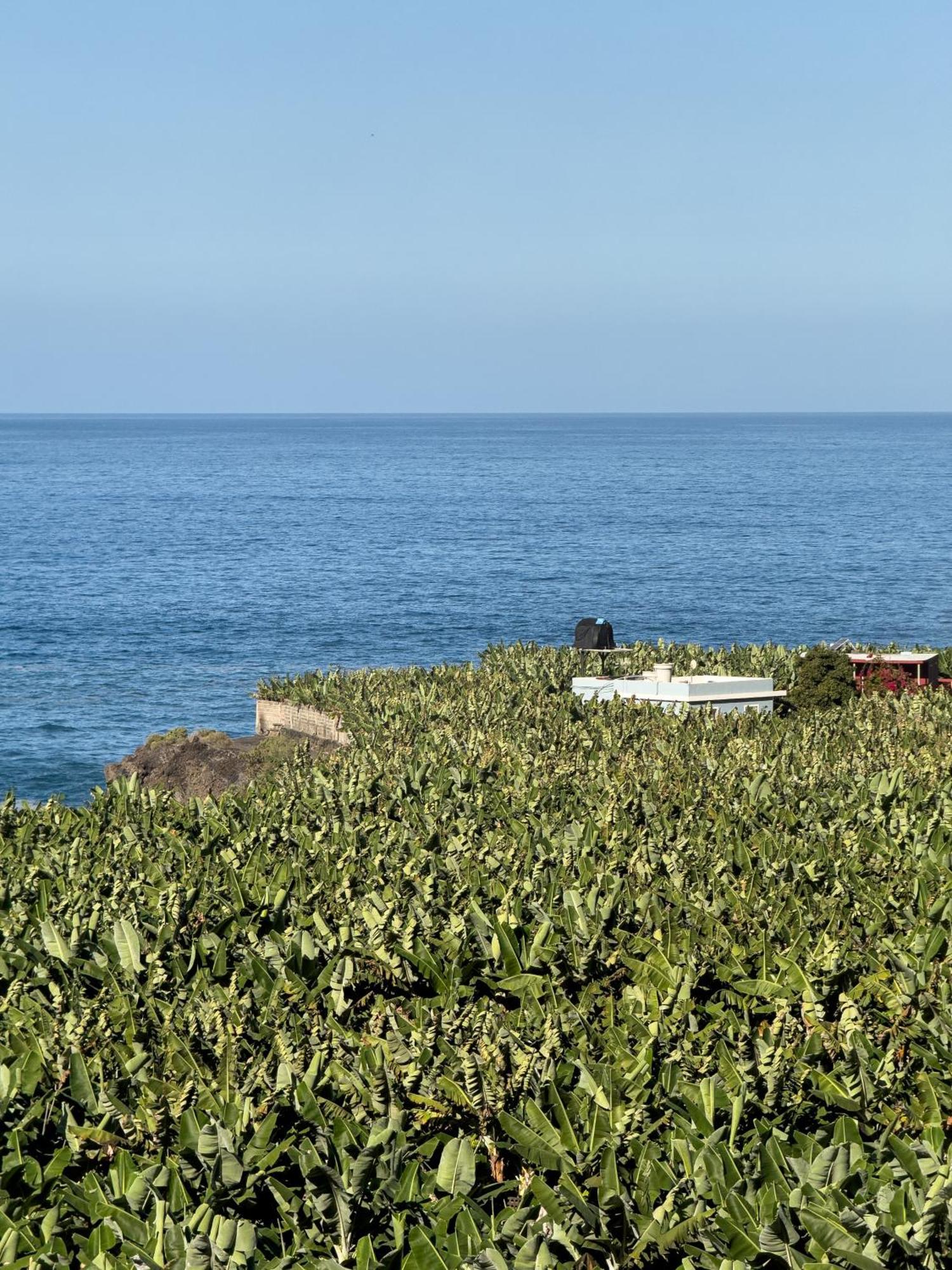 Villa Casa El Banco by Rural La Palma El Charco  Exterior foto